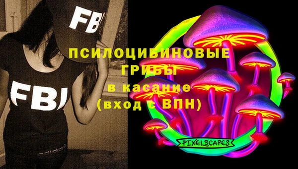 прущая мука Алзамай