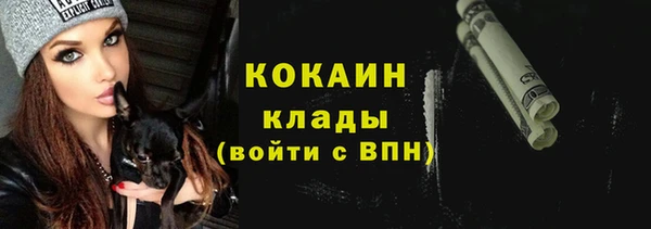 ешки Алексин