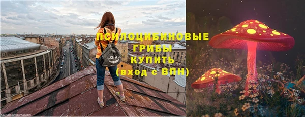 прущая мука Алзамай