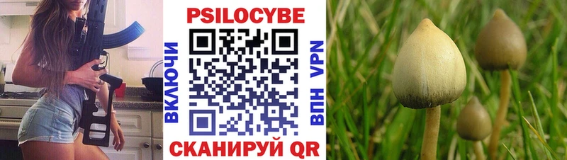 гидра зеркало  Кочубеевское  Псилоцибиновые грибы Psilocybe 